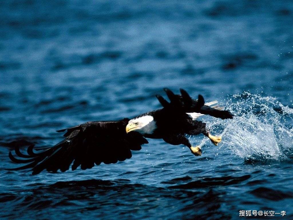 o you loner, arrogant hero have the massive land bury your