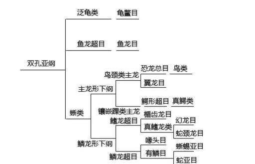从生物学的角度来看恐龙肉能吃吗哪种恐龙的味道比较好