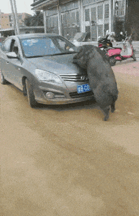 原创搞笑gif段子有一位年轻漂亮的妈妈是什么体验