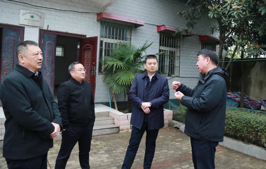 当日上午,驿城区委副书记,区长冯磊,区委常委,常务副区长张剑飞到练