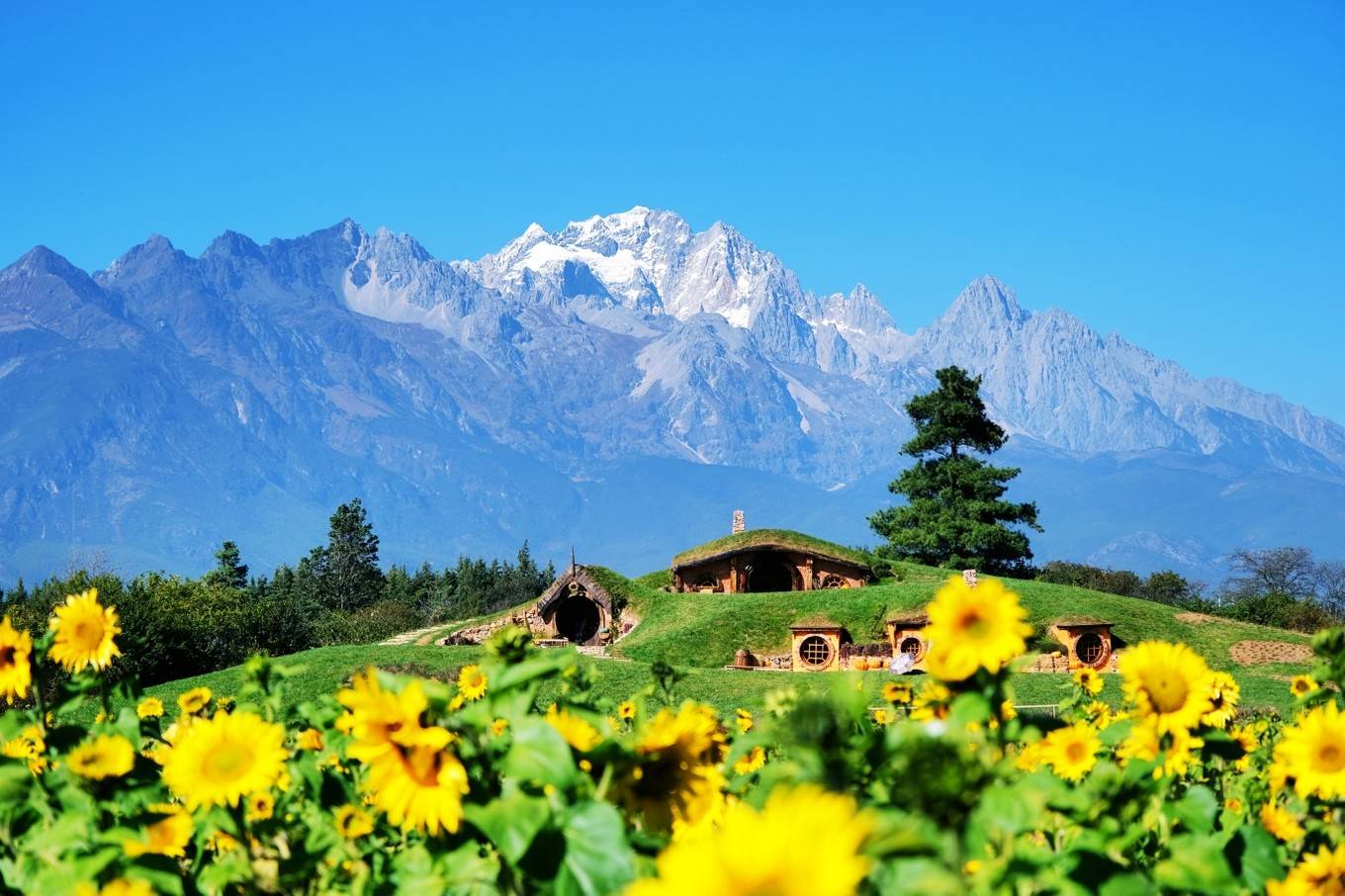 云南丽江怎么玩?这份2日丽江休闲游攻略,你一定要收好