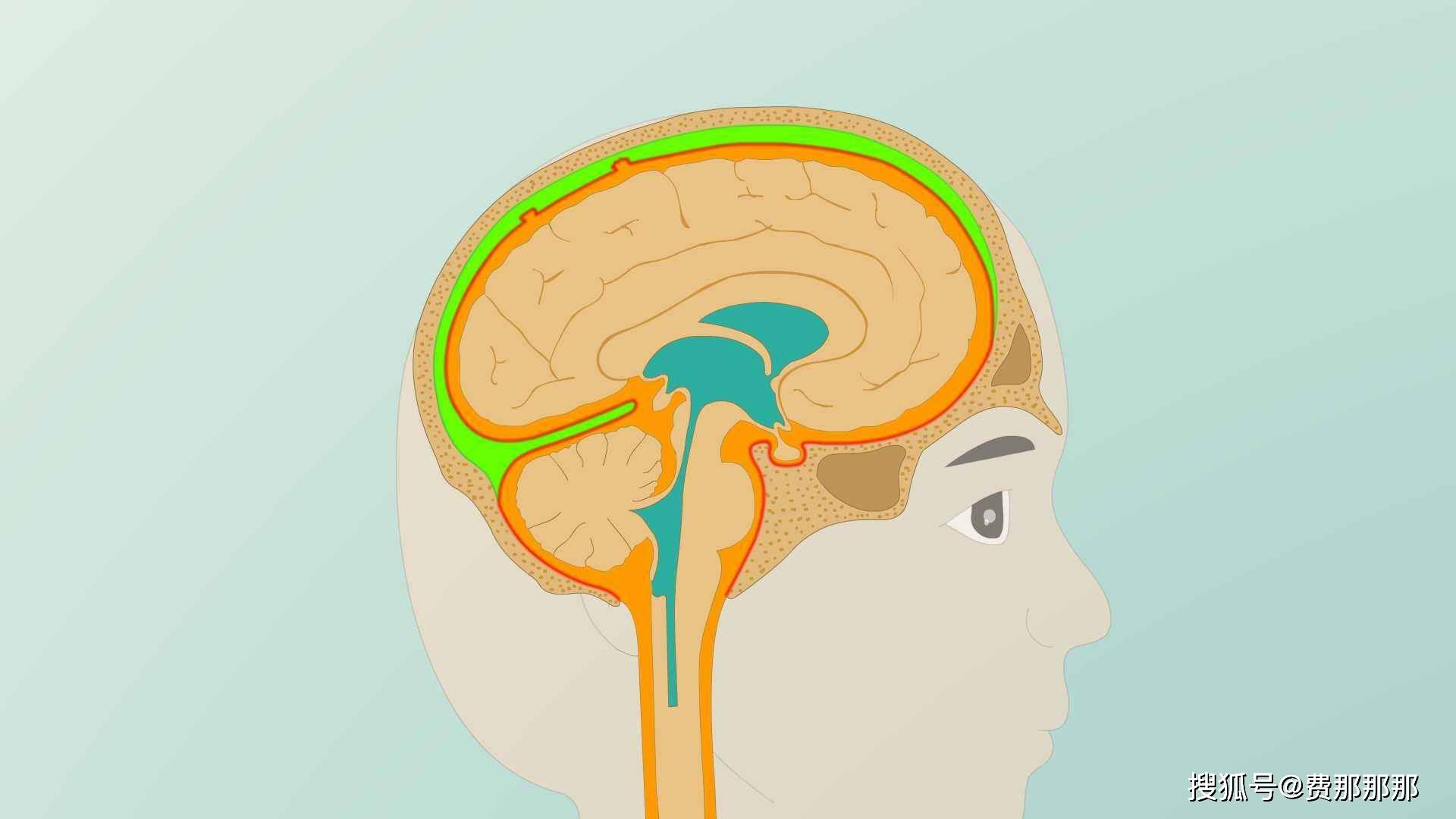 视力障碍,眼球"落日征",当婴儿在出生后家长一定多留意孩子的异常表现