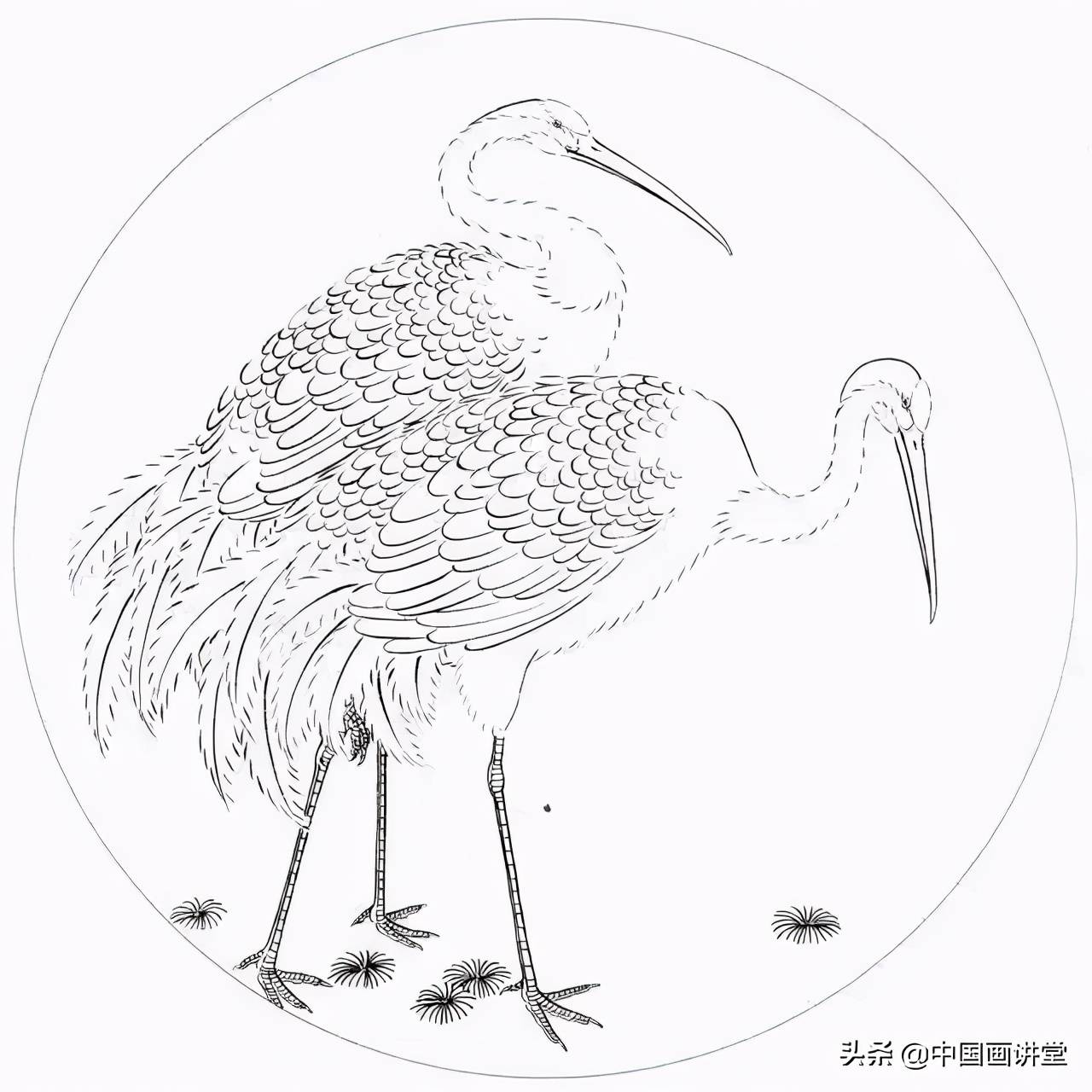 工筆白描知識及線描要求圖解