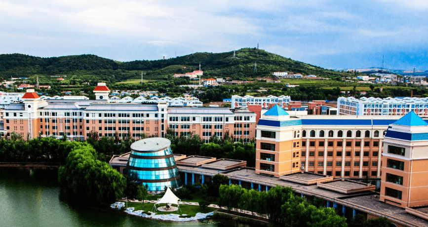 正式创建于2003年,是由沈阳电力高等专科学校以及辽宁商务职业学院
