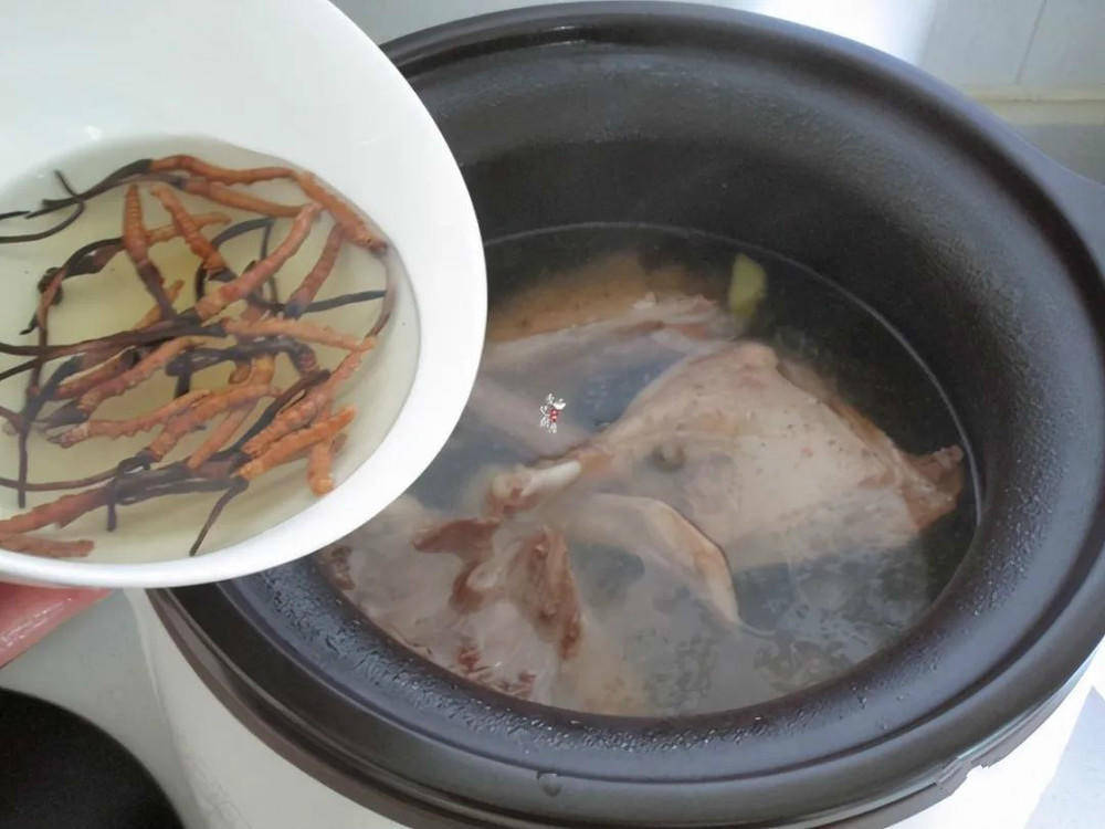 挖草人冬虫夏草炖汤之虫草老鸭汤补肾益精益肺平喘补虚增强免疫力