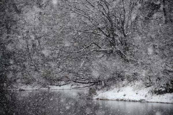 日本新潟:冬日美如画的雪国,最该列入你的冬季旅行清单!