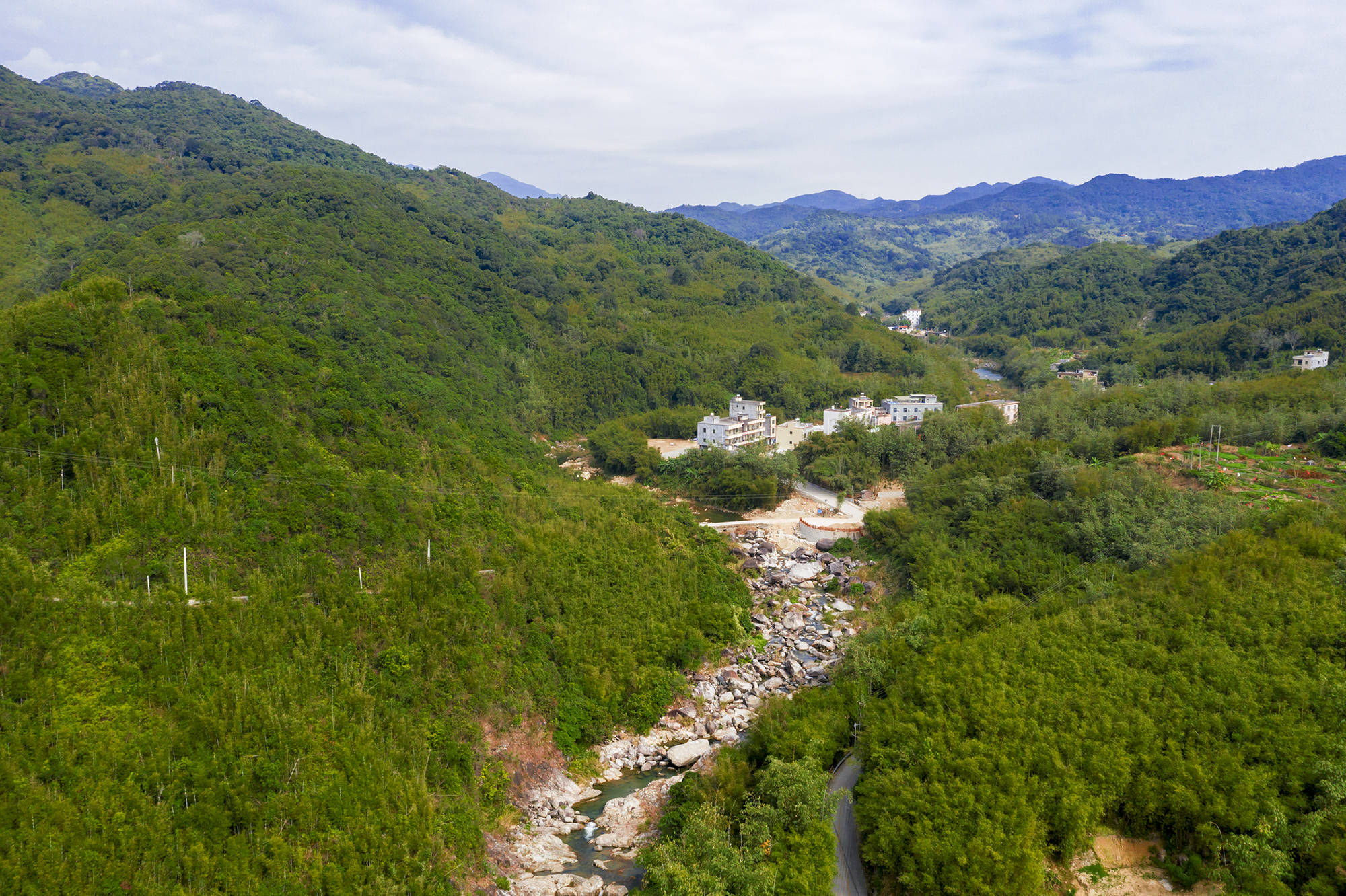 新圩镇下面有个村子叫东水村,位于新圩镇的北面,一条河流自鹅凰嶂山脚