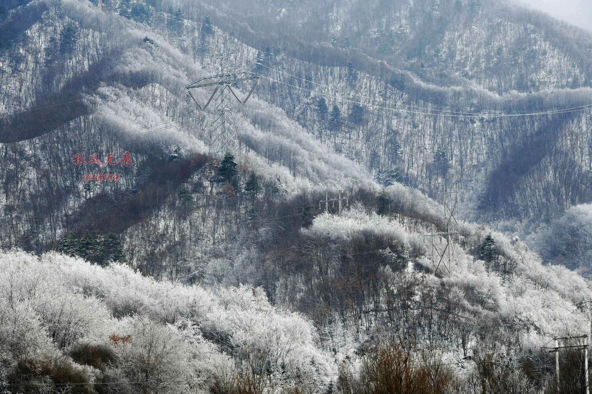 老树,老屋应该记忆着这里的变迁,只有秦岭山间那一幅幅雪景,依然保留