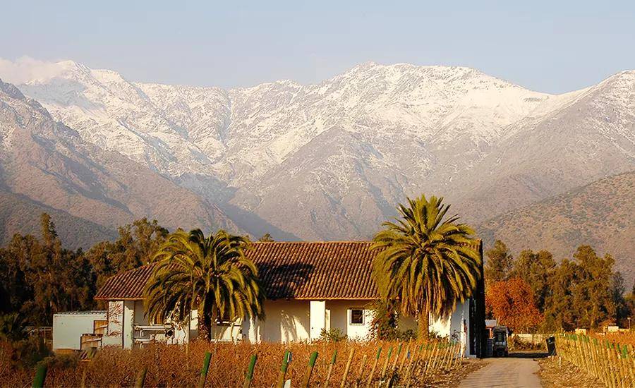 金殿酒庄的酿酒师jean-pascal lacaze是一位风土的信徒.