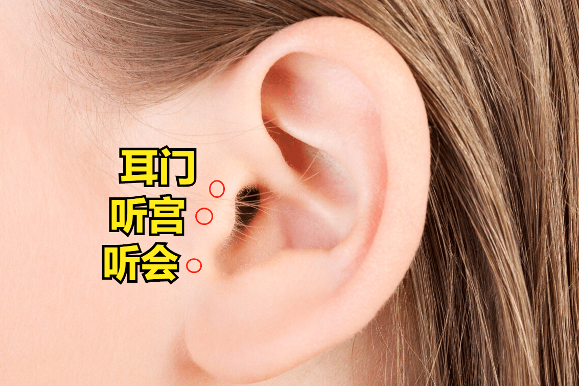 耳门,听宫,听会的位置图片