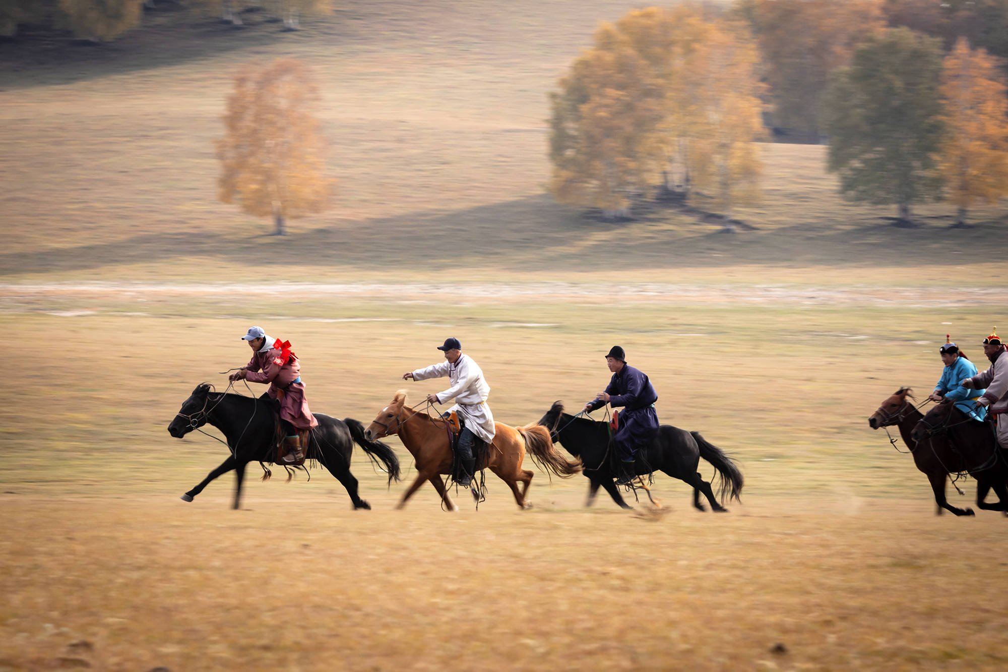 赛马是蒙古民族优良传统,这是骑手进行赛马活动