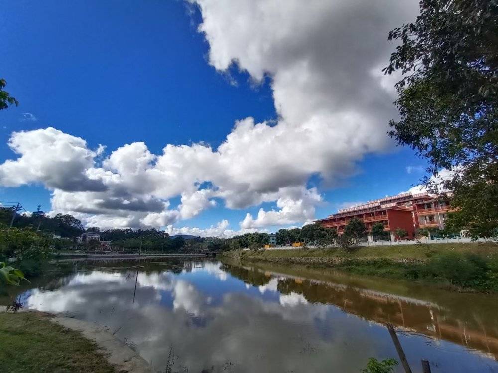 茶晓满五指山水满乡来了就是水满人茶香四溢