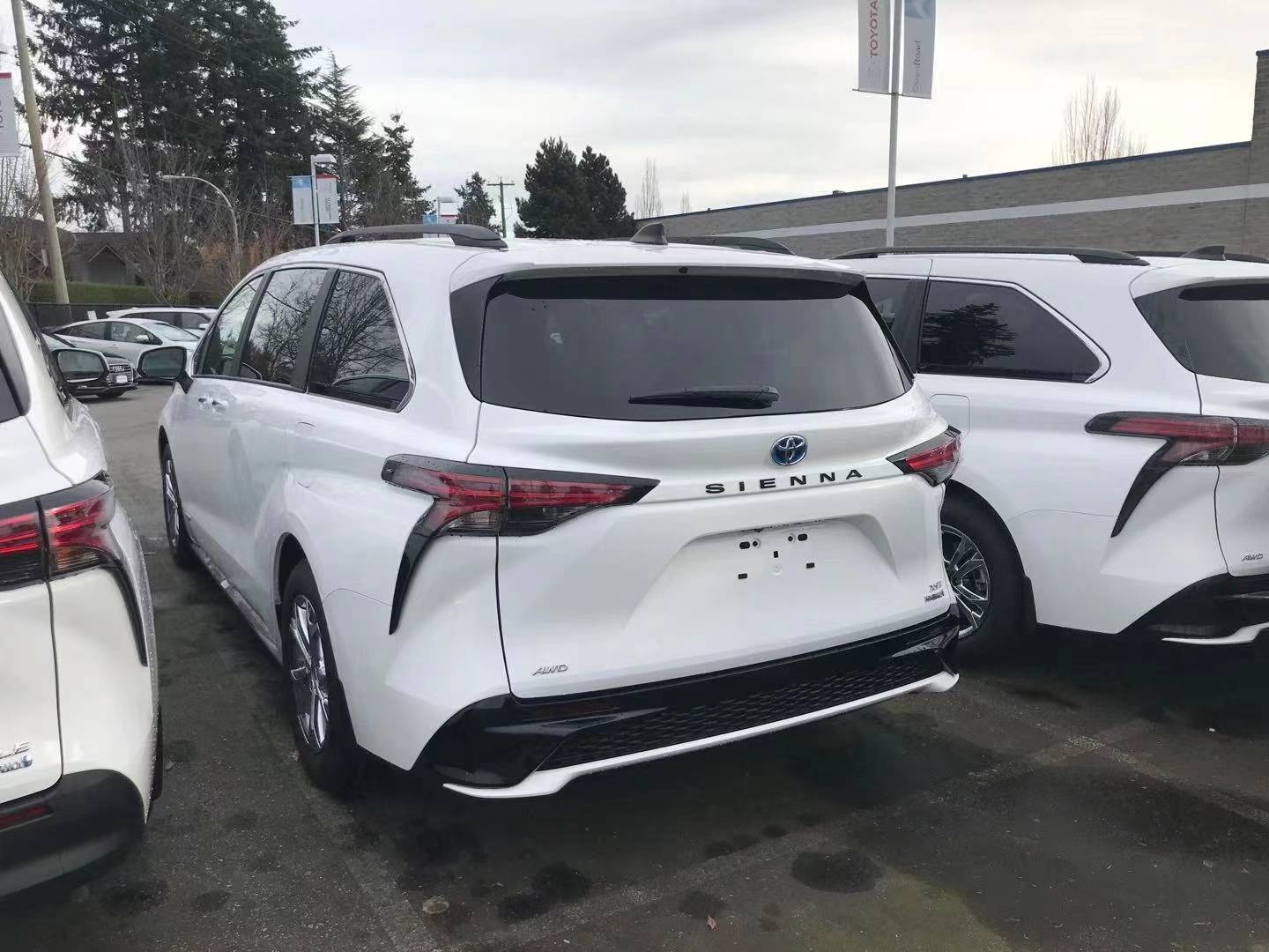 大批新款塞纳亮相港口售46万6缸动力四驱国产后会火吗