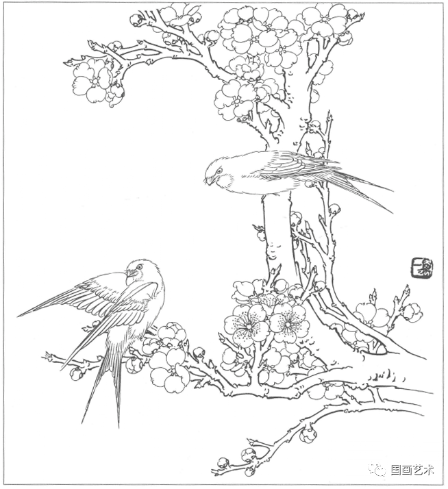 分享一组工笔花鸟白描