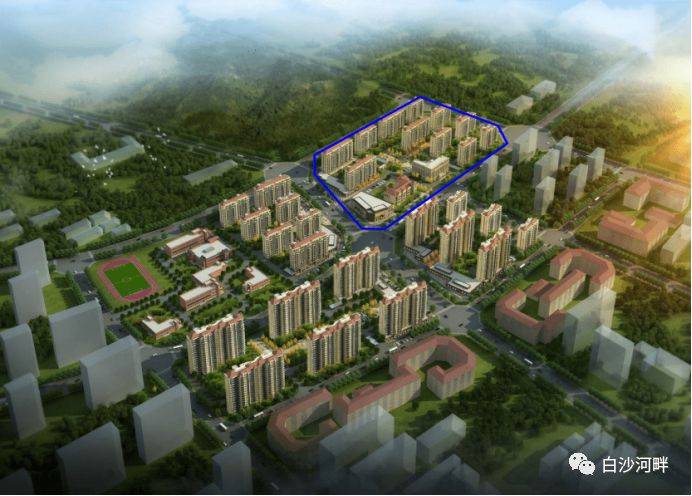 城阳区政协委员李国伟将建言女姑山片区棚户改造,改善道路配套等_青岛