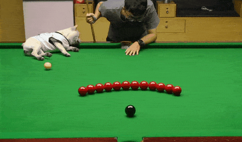 搞笑gif段子树我已经被治死了别再治了