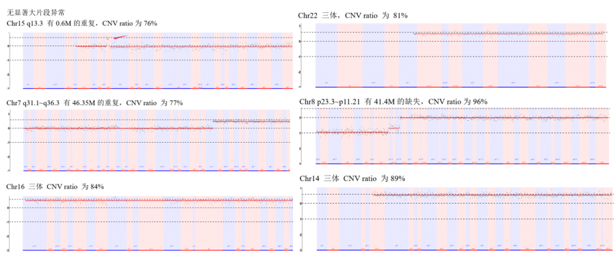 解决cnv-seq痛点,单分子测序在cnv-seq应用中有哪些优势-搜狐大视野