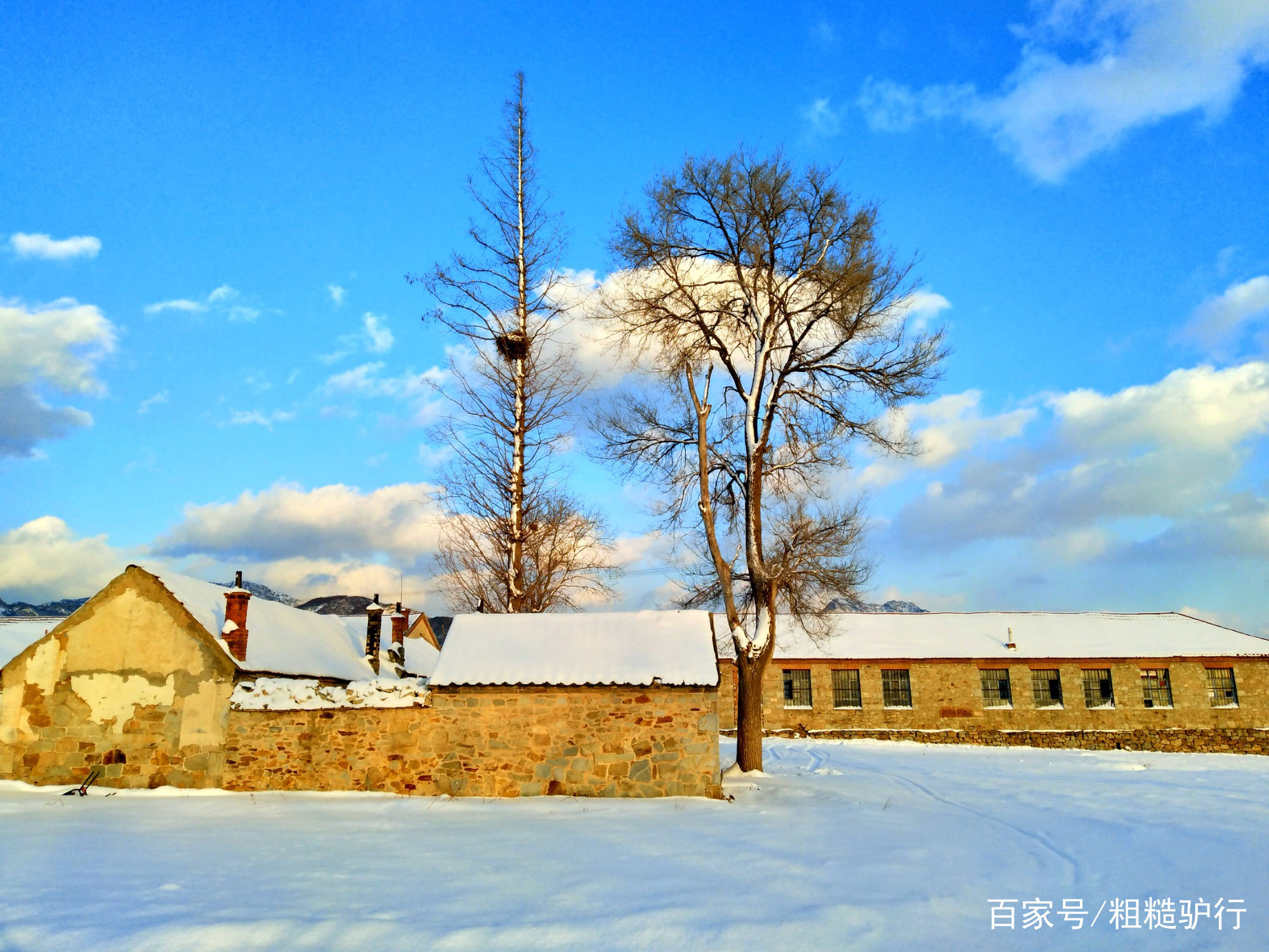 山东最美村庄,突遇大雪,变成了白色的"童话世界"