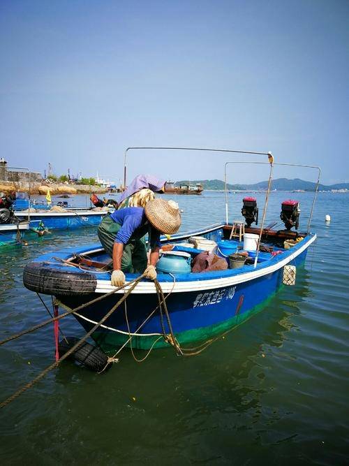 原創日照必玩的景點外加趕海看日出吃海鮮出海捕魚都好玩