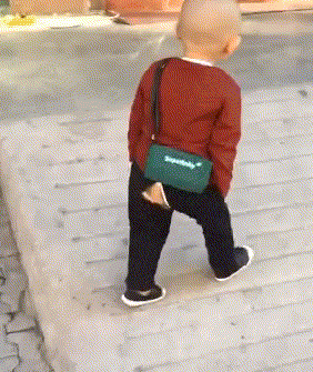 搞笑gif段子铲屎的这位置给你行了吧