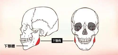 知识科普|医美到底疼不疼？爱美的女人必须要知道