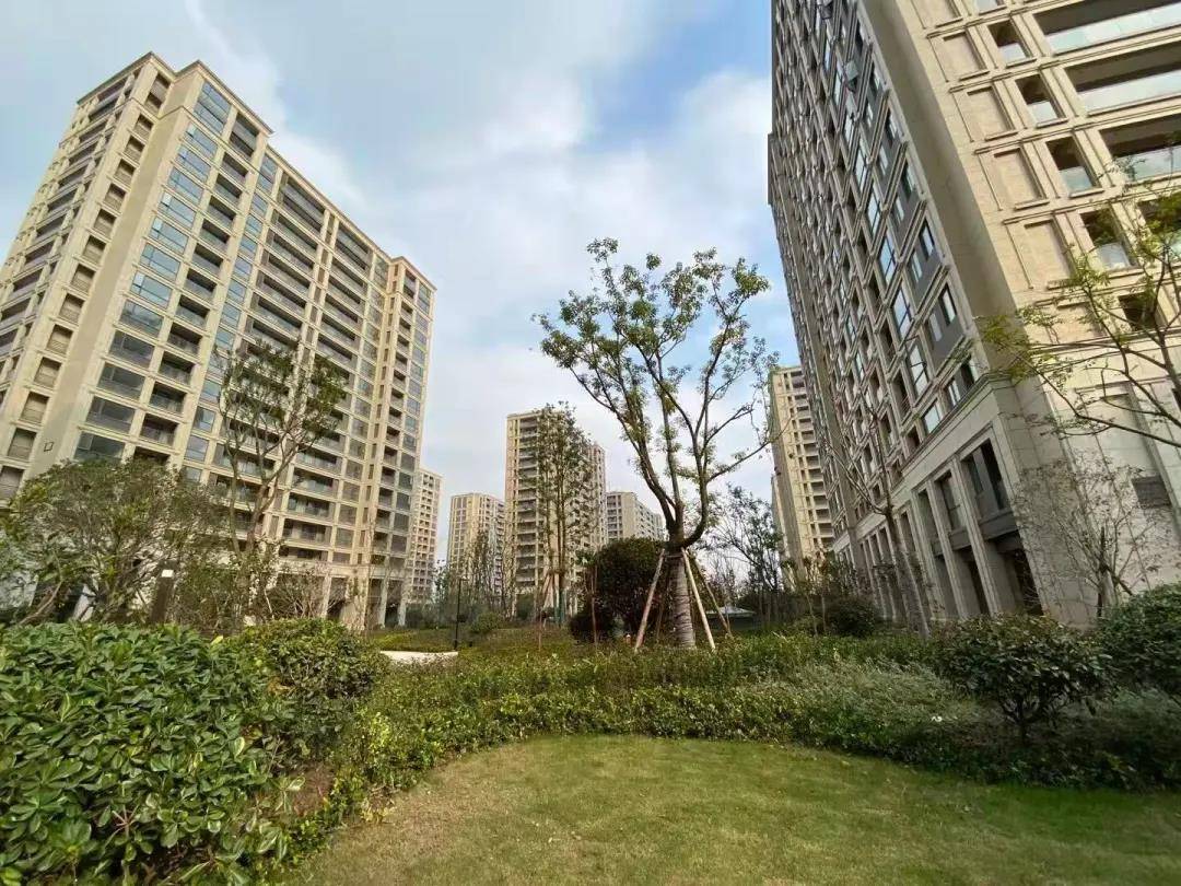 双地铁站旁,比邻未来社区!大江东这个安置小区即将分房!_义府