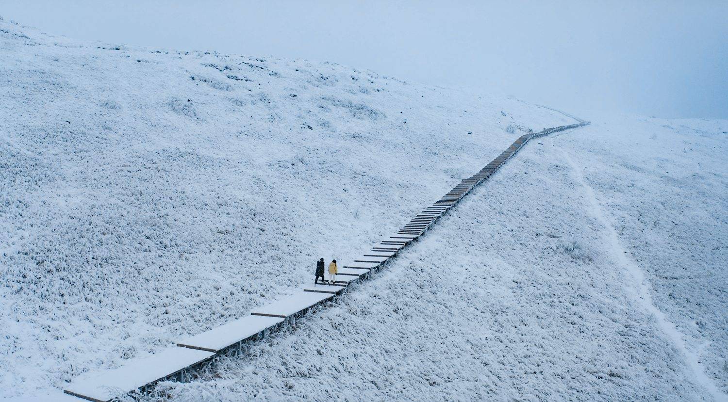 十里风雪天涯路