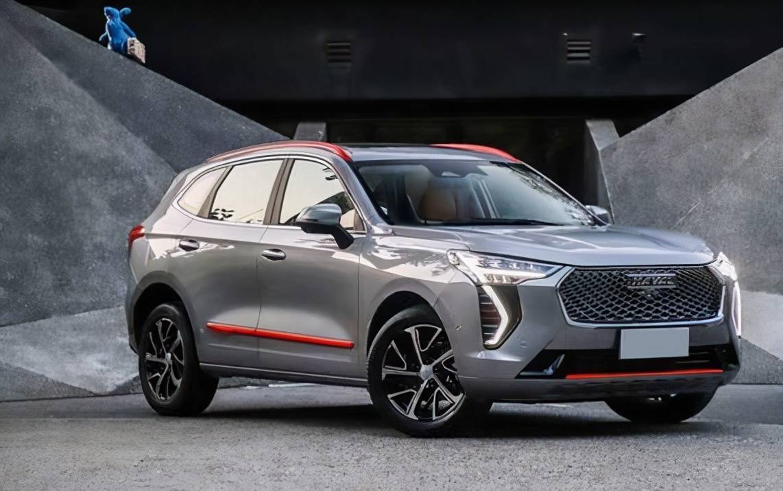 甜甜的初恋也轮到你啦!房东的猫甜蜜唱响哈弗初恋主题曲