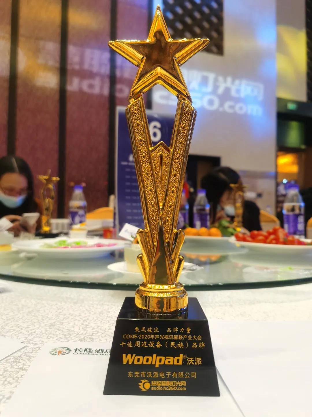 祝贺沃派电子woolpad荣获十佳民族品牌