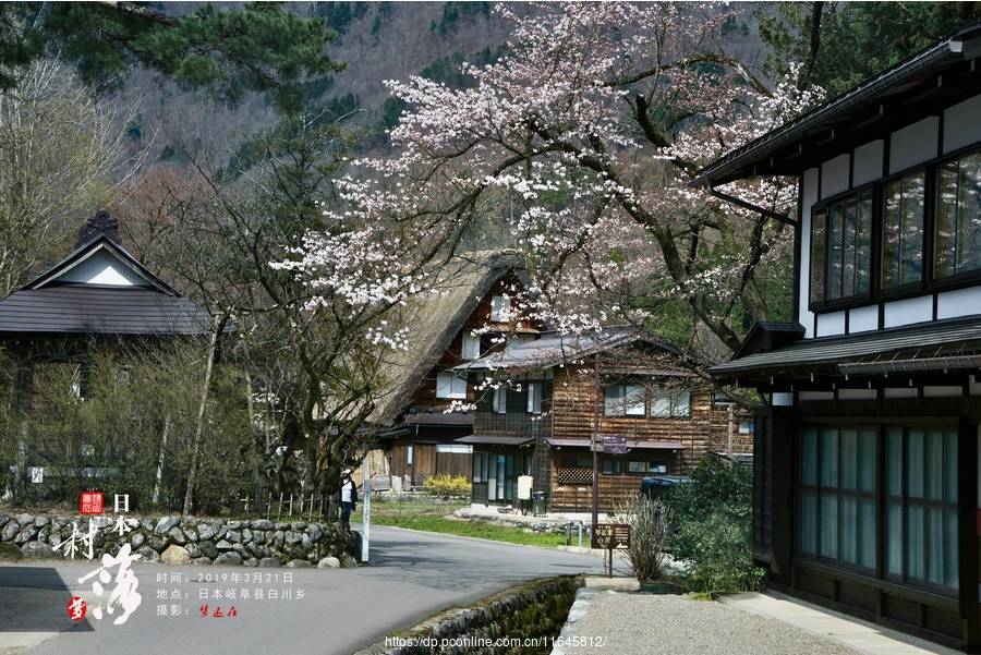 日本的村落梦还在搜狐大视野搜狐新闻