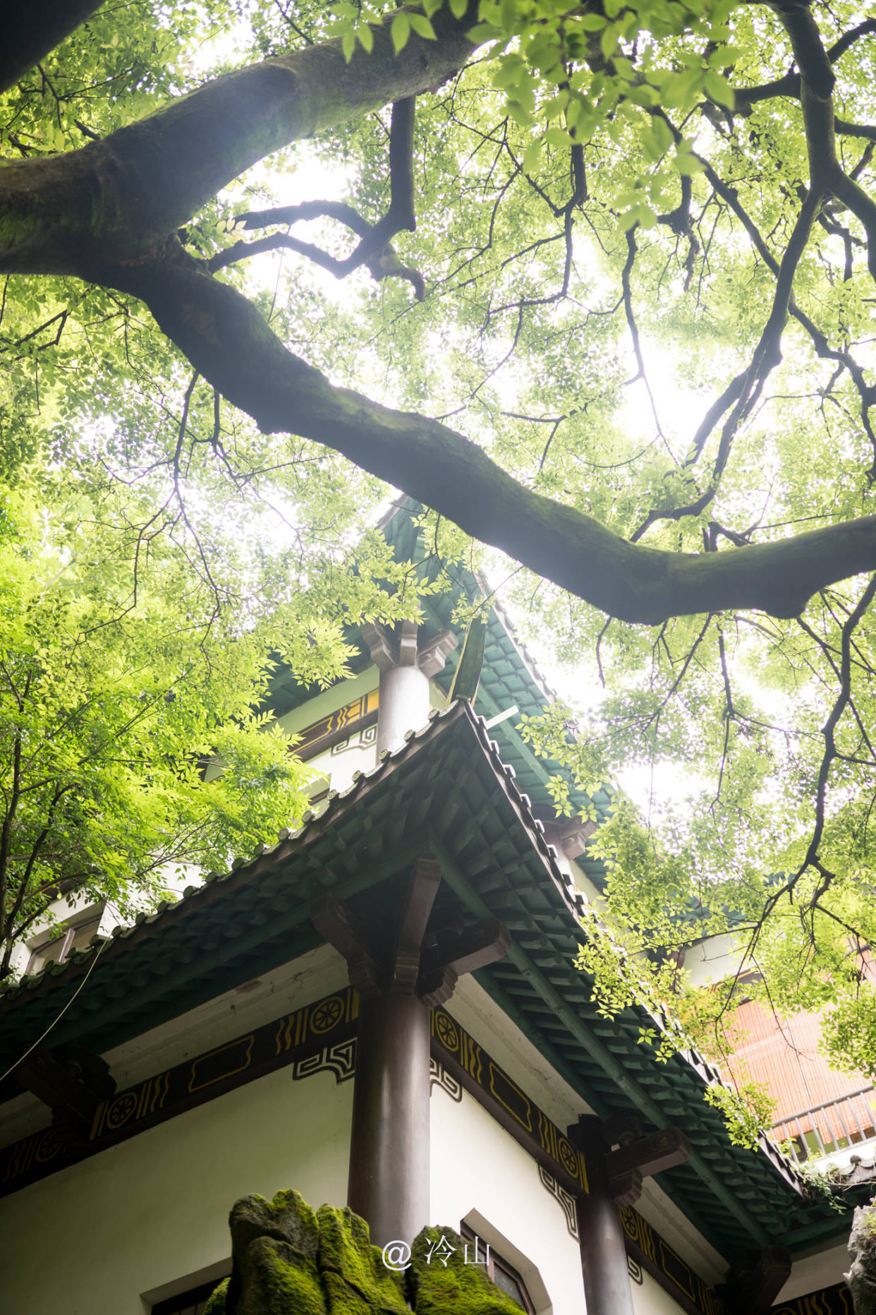 桂林:遊七星公園而不入七星巖,只因為這一緣故_門票