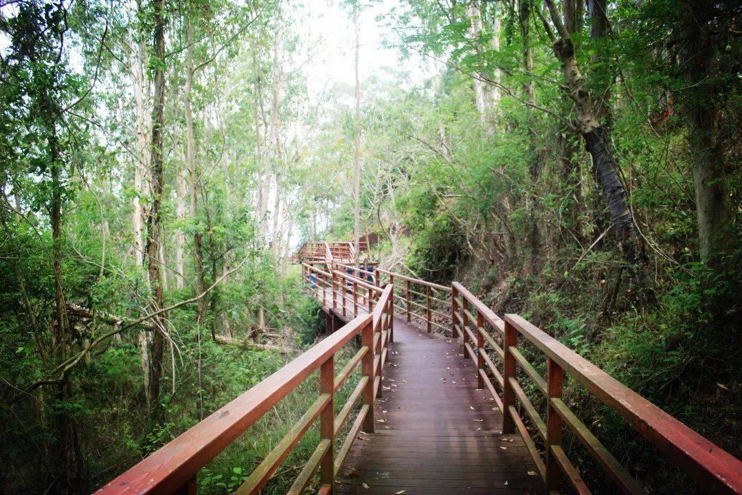 趁着周末来陵水红角岭登高远眺吧