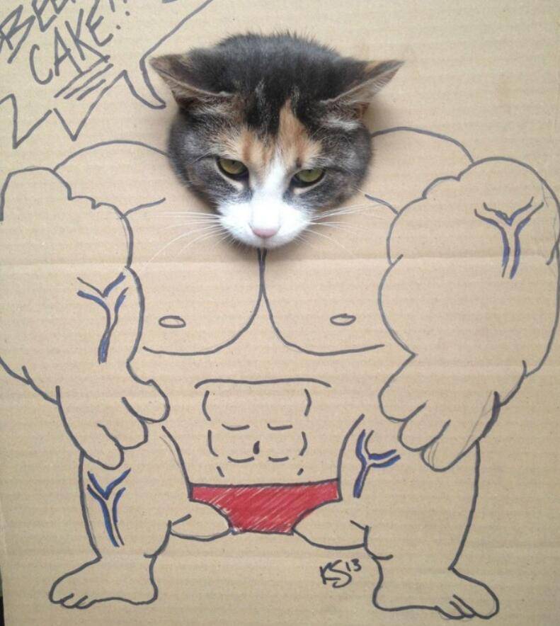 萌宠cosplay新玩法,12张猫狗搞笑变身图,看完能忍着不笑?