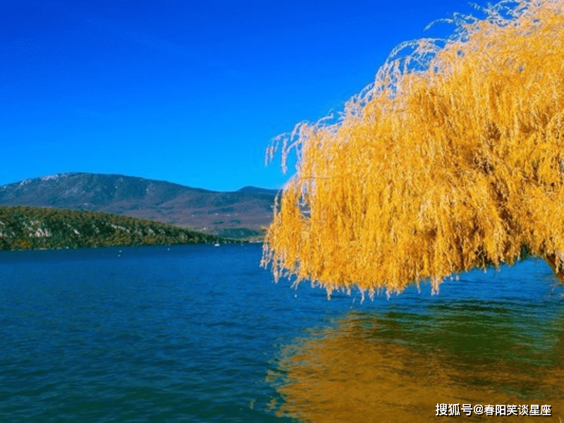 12月,運勢順風順水,吉星入命,佛祖賜福,大吉大利的星座