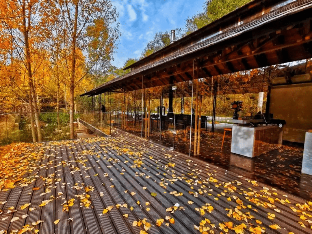 采摘庄园:曼华庄园,猪猪农场,德来美庄园等等.