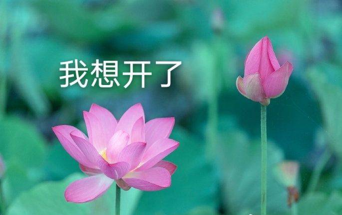 其实大家都清楚,择偶并不难,只是看自己的择偶标准,要求已经形成,你