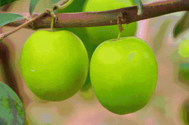 730_486gif 动态图 动图