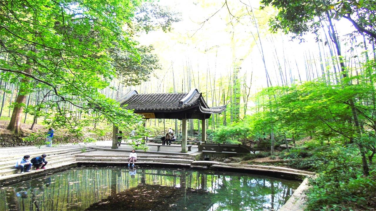 杭州西湖边冷门景区，竹子数量全城第一，虽然很美游客却不多