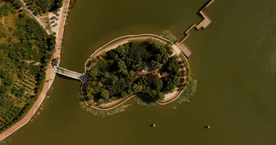 鹿邑生活好去處上清湖公園