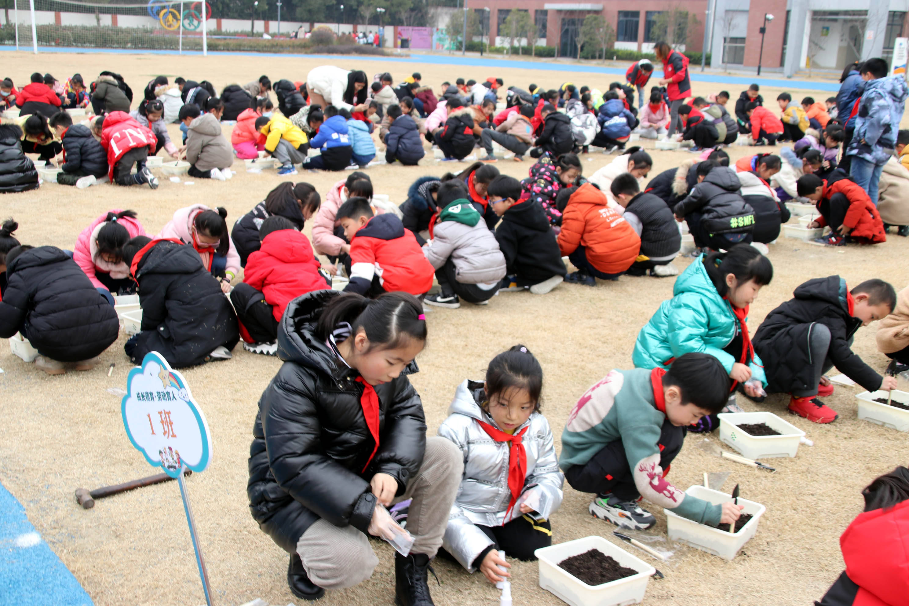 苏州市吴中区碧波实验小学枫津路校区近400名小学生一起种植绿色蔬菜