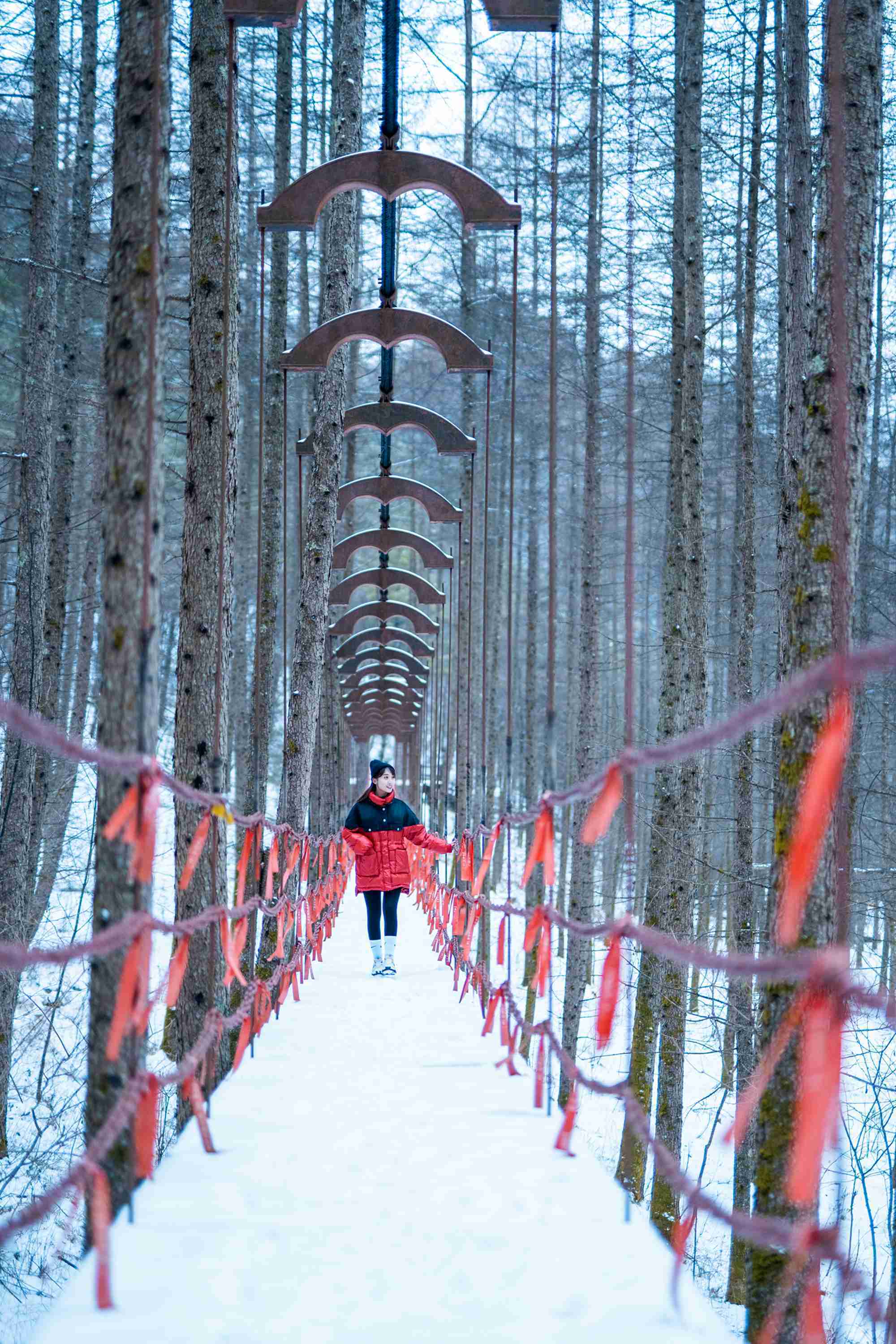 攻略在手,畅游秦岭雪乡留坝无忧