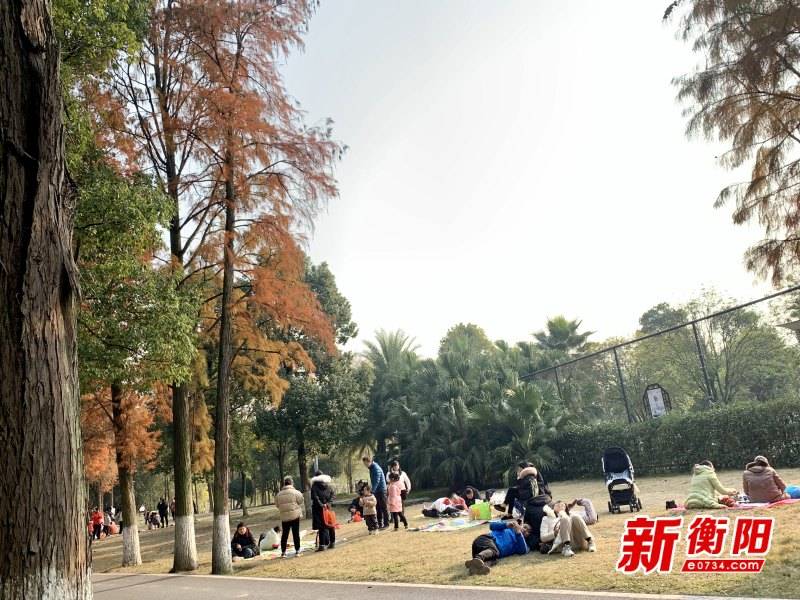 衡阳市南湖公园游人如织！市民游客相约冬日晴天“慢时光”