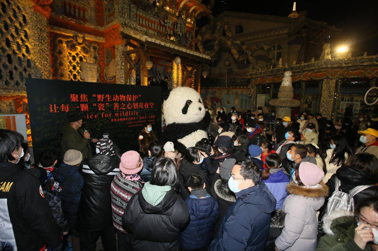 天津瓷房子首开免费夜游 光影互动传递动物保护理念