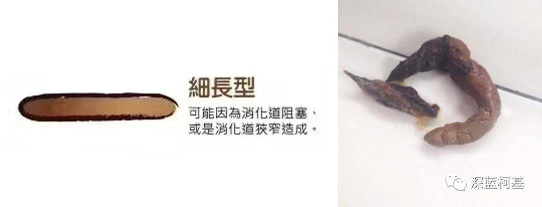 狗狗便便判断健康状态,有图-吃饭时勿进_处理