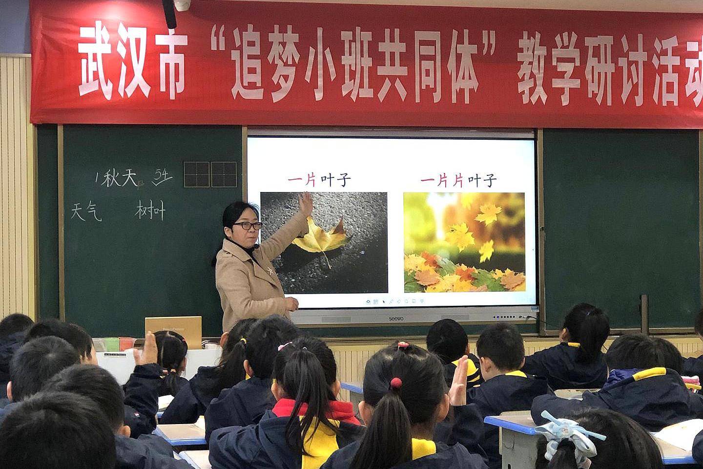 武汉市陈家墩学校全解析：九年一贯制办学特色、招生划片与对口升学指南