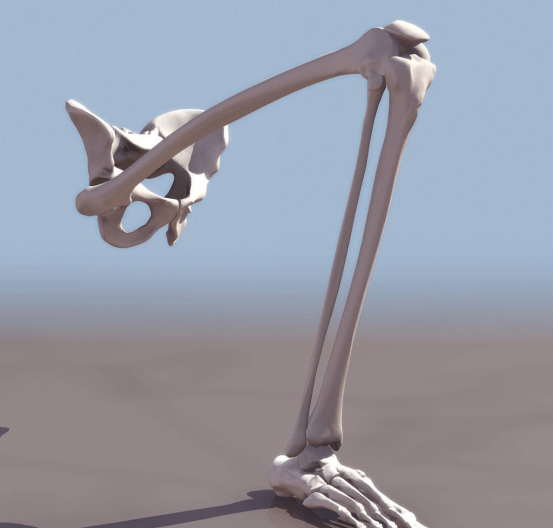 原创人类正在退化曾被淘汰的器官如今再次出现玛雅预言或将成真