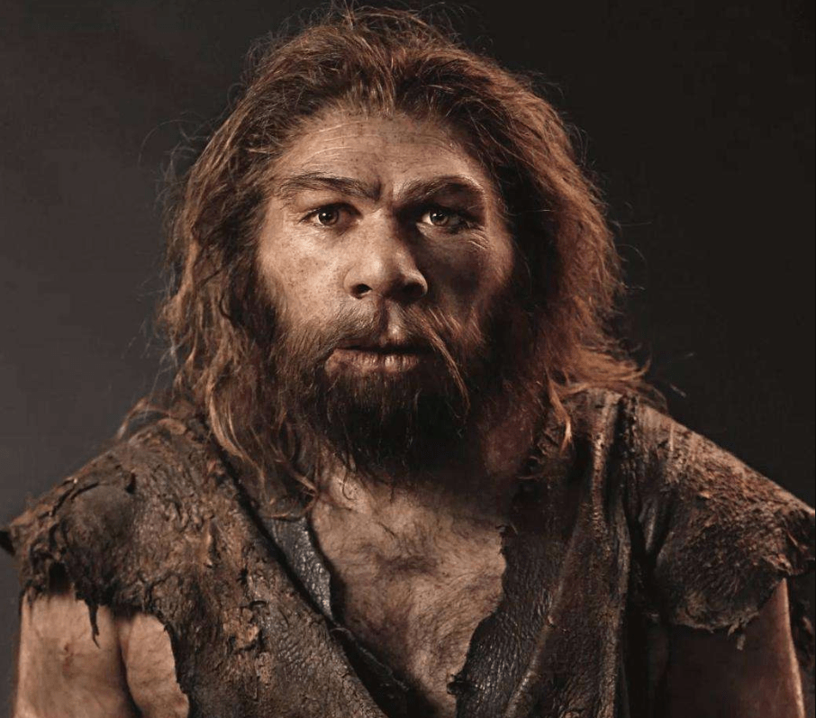 原创雄性人类都是排泄和生殖共用一个器官女性比男性进化更彻底