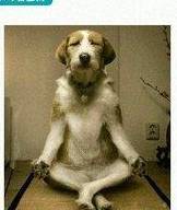 唐僧西天取经要经历八十一难?而坏人只要放下屠刀便可立地成佛