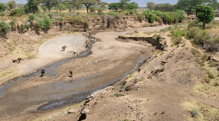 广阔的赞比西河舒缓地流淌在非洲南部的大平原上,突然之间从50米的陡