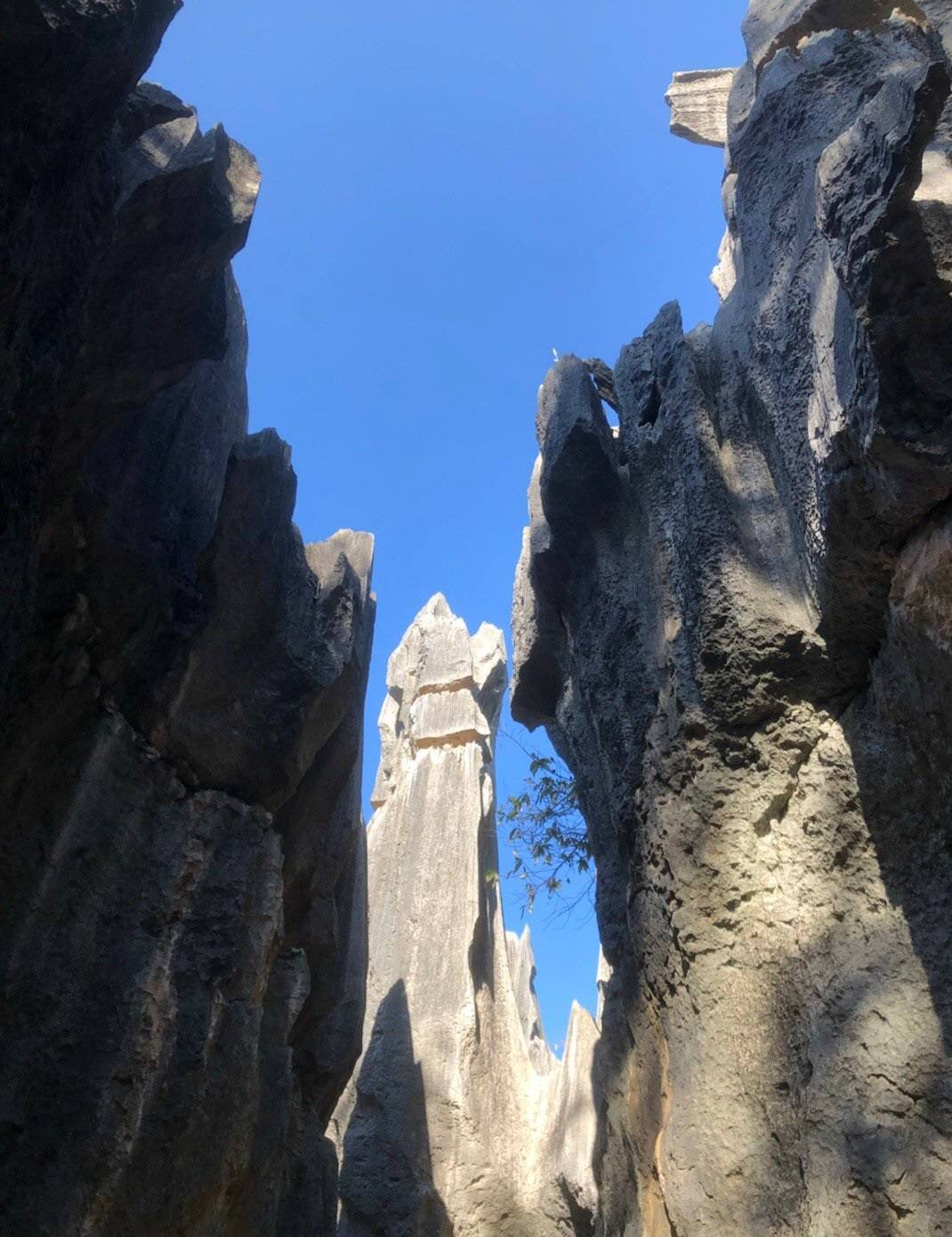 云南石林风景区这是大自然创造的奇迹感叹大自然的鬼斧神工